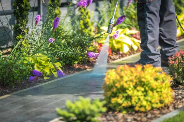  Nazareth, PA Pressure Washing Pros